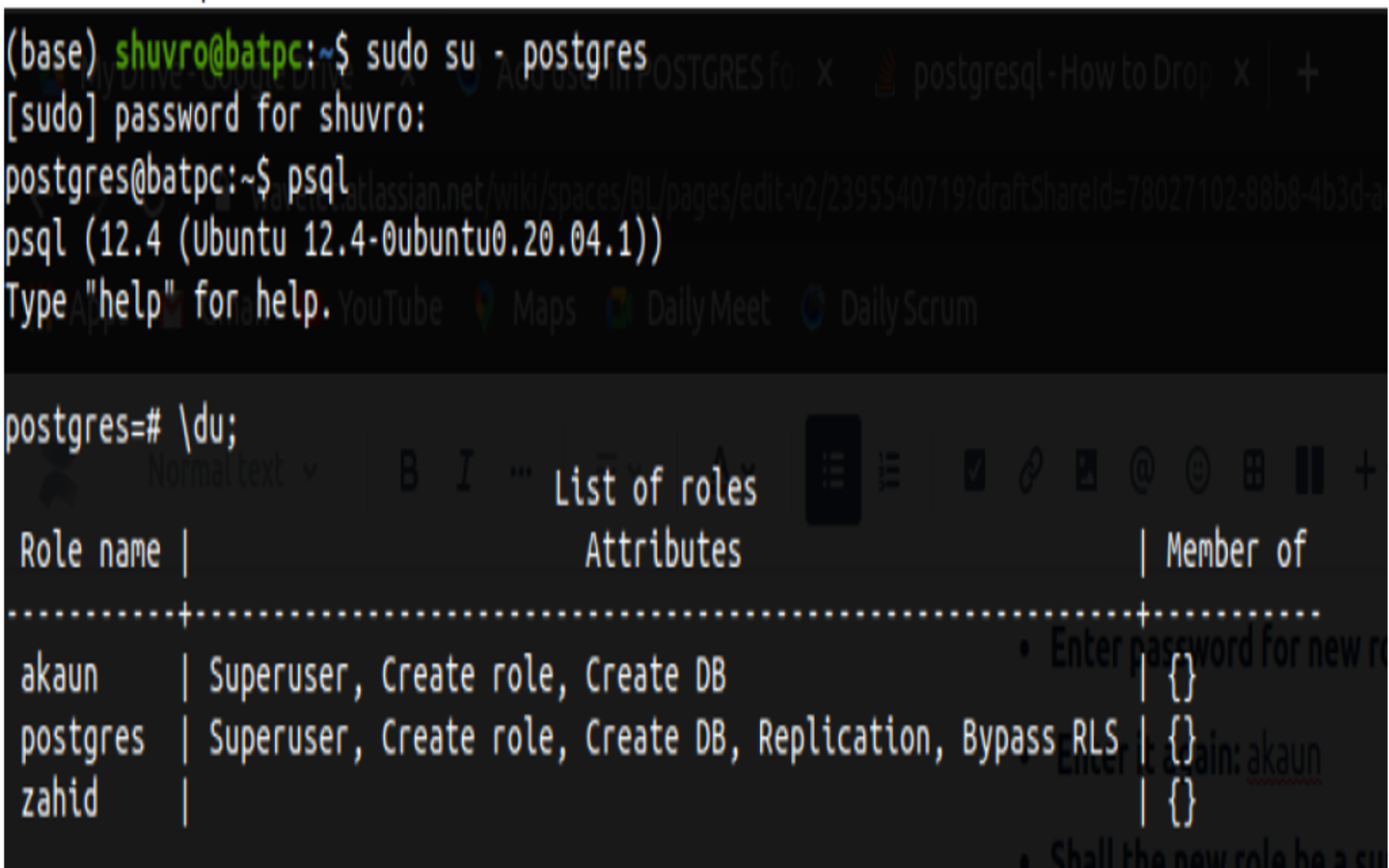 Check User - PostgreSQL