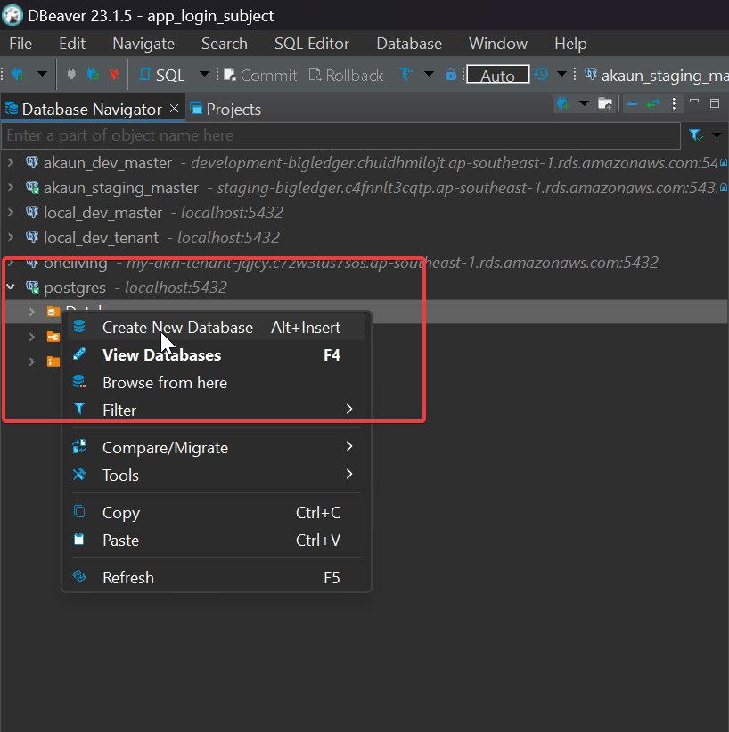 Creating local database with DBeaver
