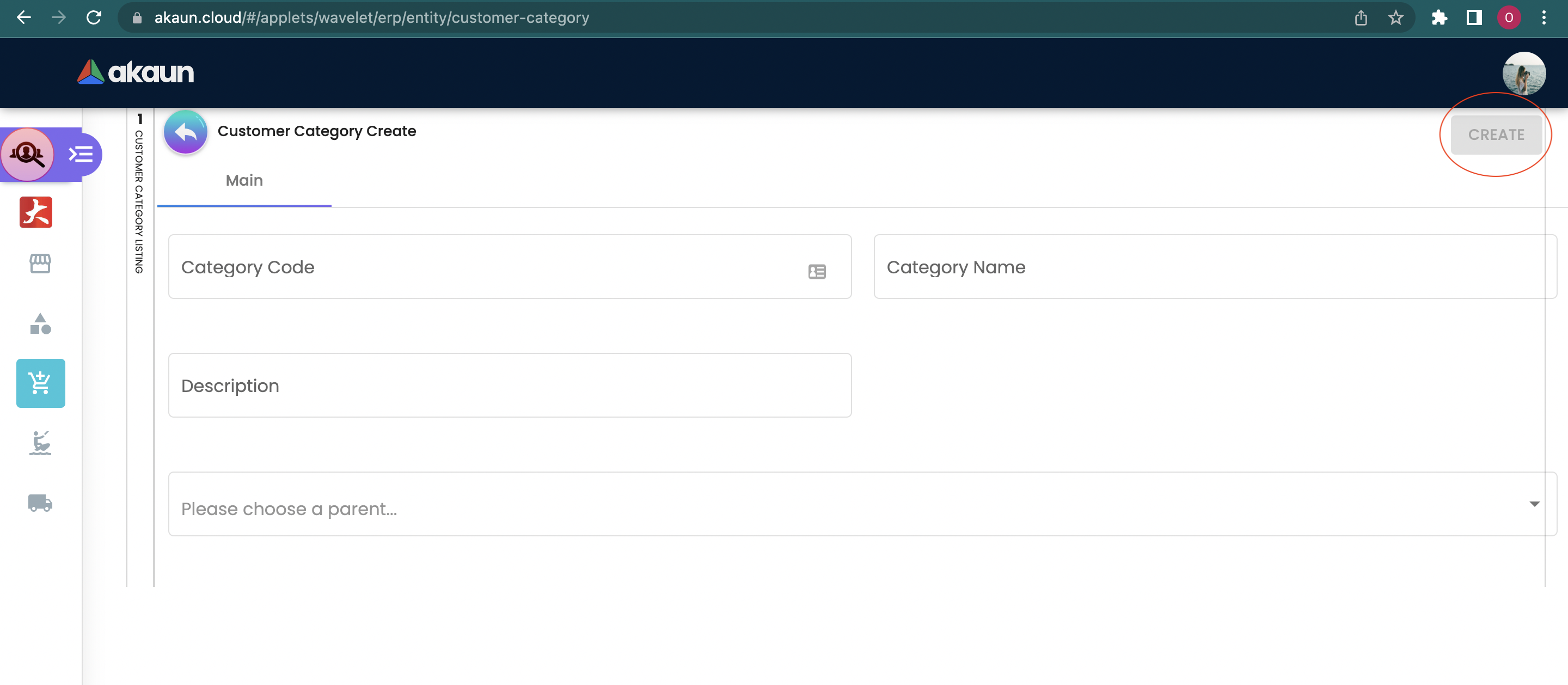 Create Customer Category