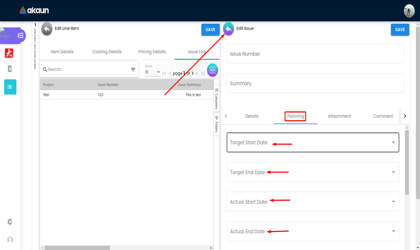 Line Item Issue Link Planning