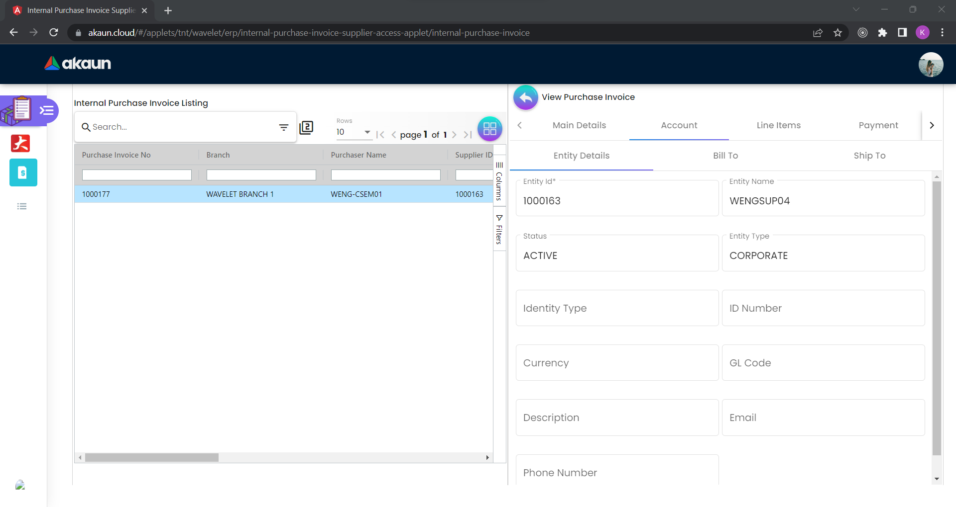 Account Tab - Entity Details