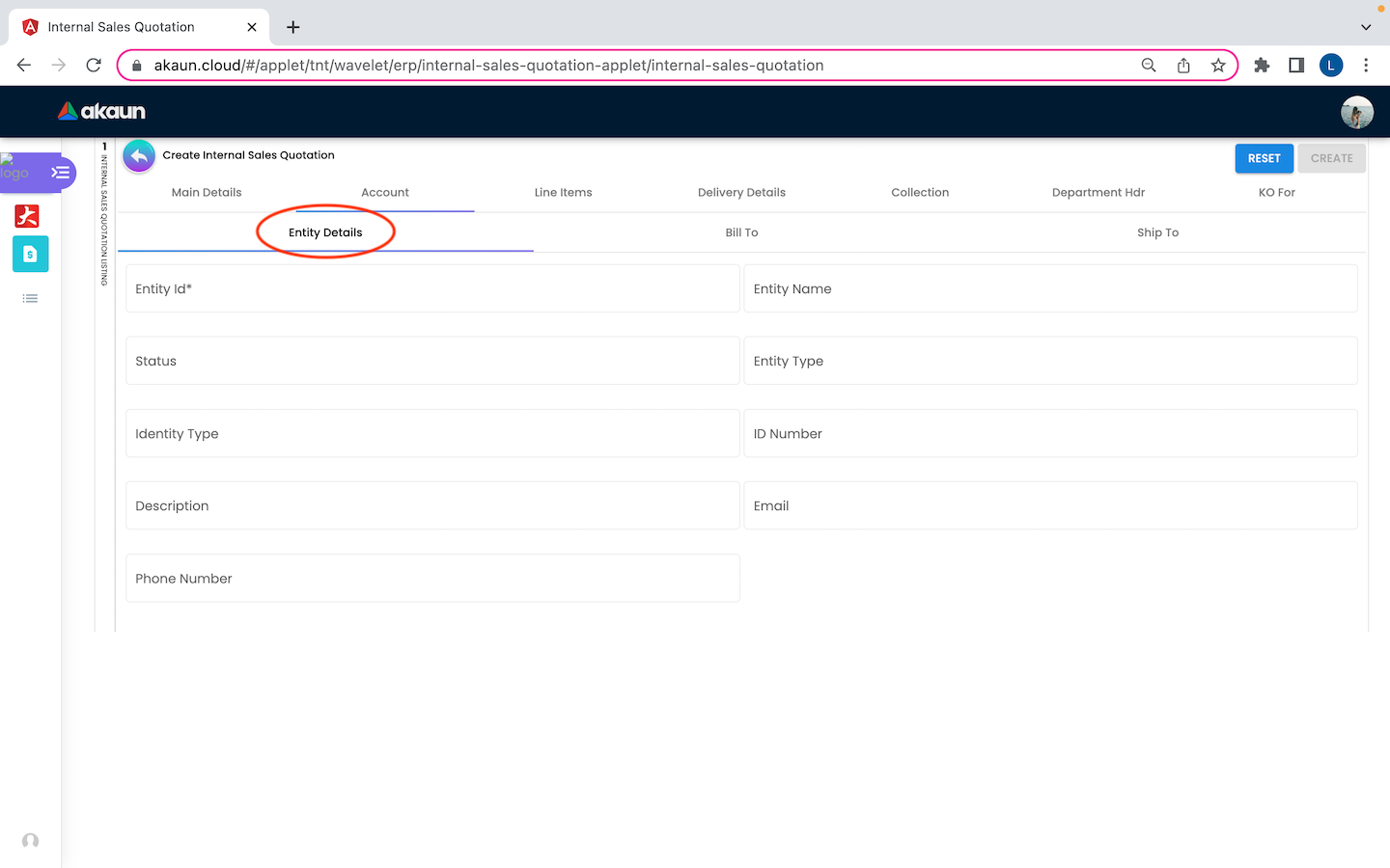 CreateInternalSalesQuotation Account EntityDetails