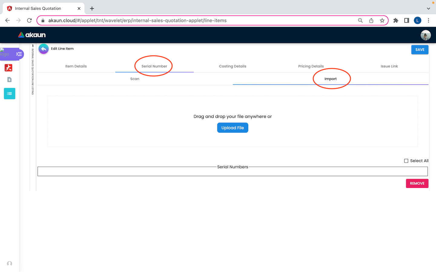 EditLineItem SerialNumber Import
