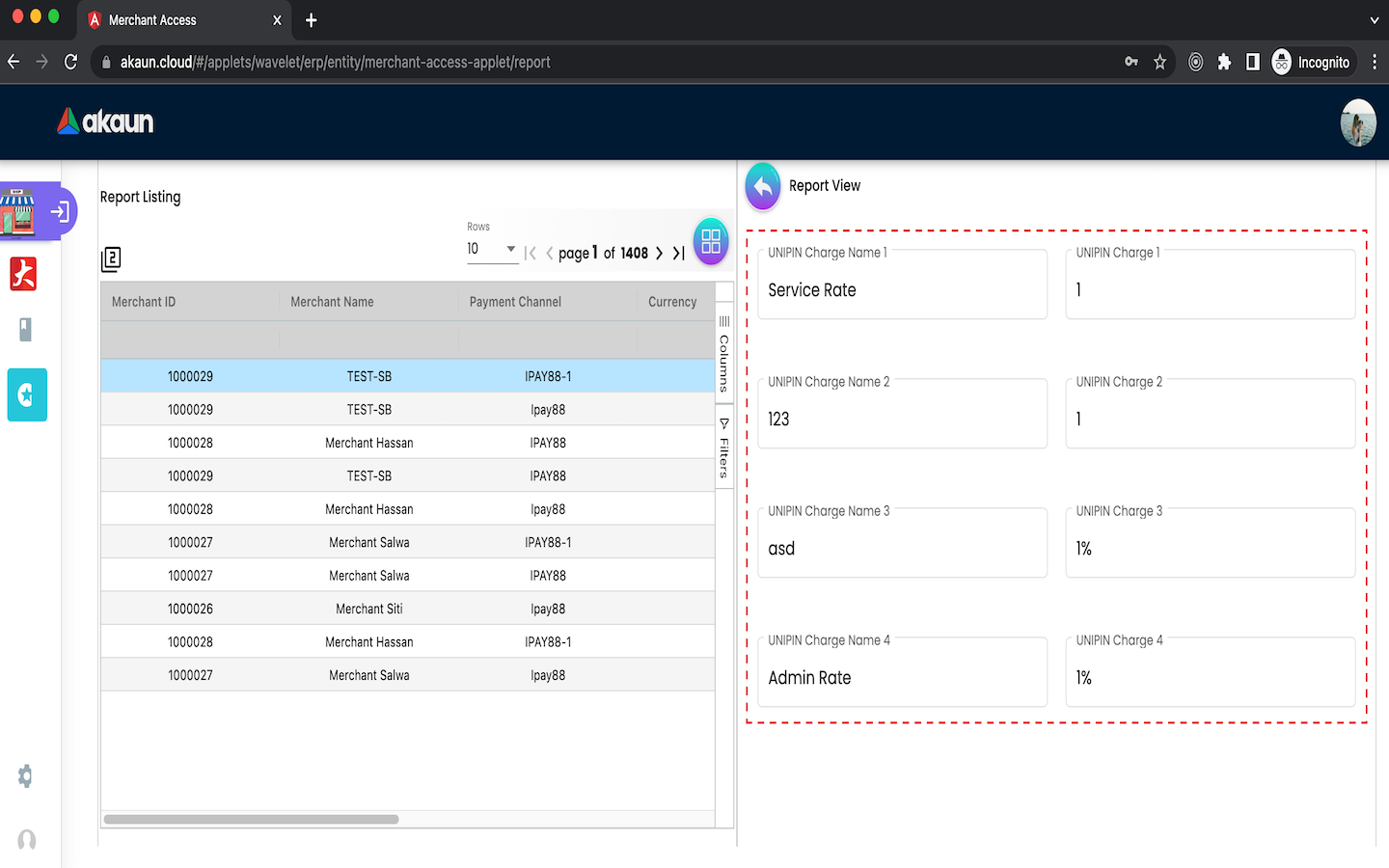 Report Report View